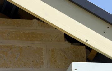 soffit repair Forthampton